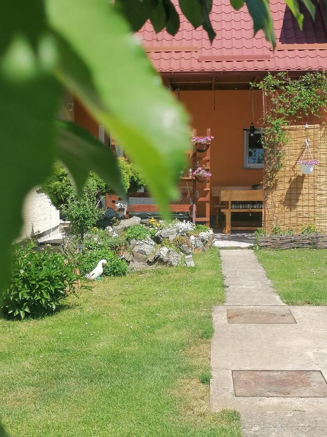 Studio Apartman Krosna Perusic Exterior photo